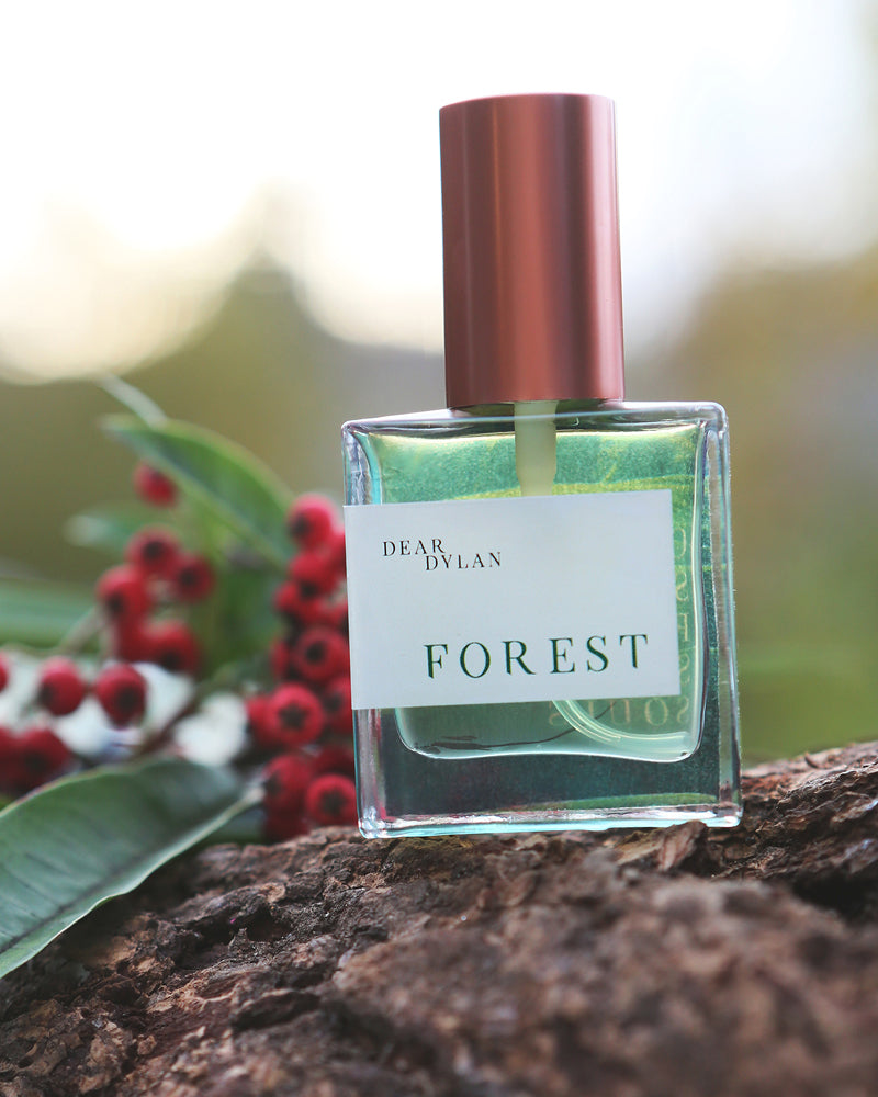 FOREST – Dear Dylan